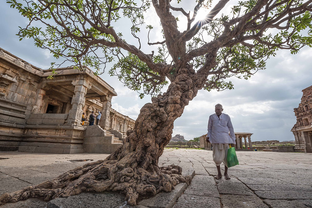 Vijay Vittal Temple Premises